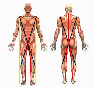 足底筋膜炎｜一個症狀產生的根源點往往意想不到｜晉熯脊骨物理治療所