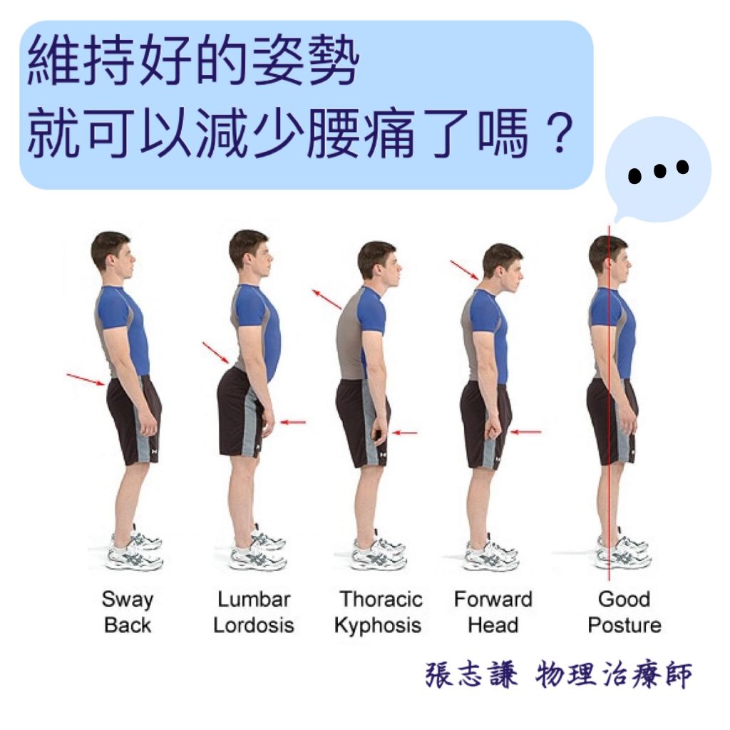 紅繩懸吊運動訓練｜維持好的姿勢就可以減少腰痛了嗎？｜晉熯脊骨物理治療所